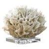 Regina Andrew Replica Ribbon Coral Art Piece -Regina Andrew Official Shop unnamed file 1123