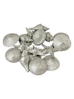 Regina Andrew 12-Piece Assorted Mini Seashells Set