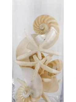 Regina Andrew La Modern Glass Cylinder Table Lamp -Regina Andrew Official Shop unnamed file 129