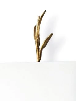 Regina Andrew Southern Living Trillium Shaded Sconce -Regina Andrew Official Shop unnamed file 706