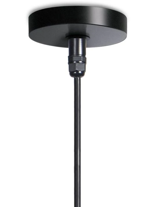 Regina Andrew Coastal Chic Peridot Outdoor Pendant Large Black 7 Regina Andrew Coastal Chic Peridot Outdoor Pendant Large Black - Image 5