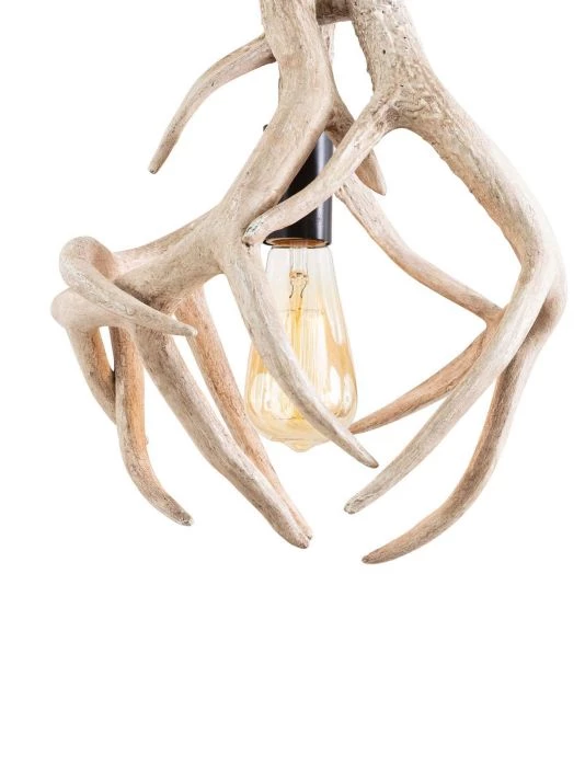 Regina Andrew New South Waylon Antler Pendant 6 Regina Andrew New South Waylon Antler Pendant - Image 4